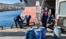 İzmir'de kaçak avlanan 600 kilogram deniz patlıcanı suya bırakıldı