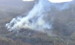 İzmir'de tarım arazisinde çıkan yangın kontrol altına alındı