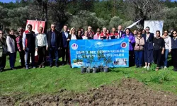 Urla'da kadın çiftçiler sakız fidanlarını toprakla buluşturdu