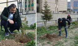 Hastane Bahçesinde Fidanlar Toprakla Buluştu