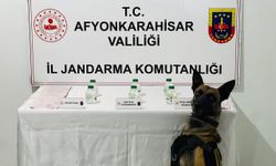 Afyonkarahisar'da uyuşturucu operasyonunda bir kişi yakalandı