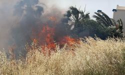 Bodrum'da yerleşim yeri yakınlarında çıkan yangına müdahale ediliyor