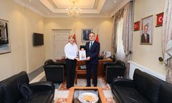 İngiliz Büyükelçi Morris, Muğla Valisi Akbıyık'ı ziyaret etti