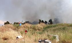 İzmir'de ağaçlık ve otluk alanda çıkan yangın söndürüldü