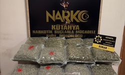 Kütahya'da 15 kilo 840 gram esrar ele geçirilen kamyonun sürücüsü tutuklandı