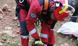 Muğla'da sulama kanalına düşen köpek ve kuyuya düşen domuz yavrusu kurtarıldı