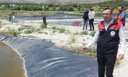 Sazan, Yayın ve Japon Balıkları Uşak’ta Yetiştiriliyor