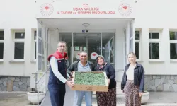 Uşak’ta Üreticiye 333 Bin Domates Fidesi Desteği