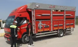 Uşak’ta Kurbanlık Taşıyan Araçlara Yol Kenarı Denetimi