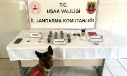 Jandarma Uşak’ta Düğmeye Bastı: 16 Şüpheli Yakalandı, 4’ü Tutuklandı
