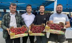 Alaşehir'de "en güzel kiraz" seçildi