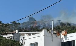 Bodrum'da makilik alanda çıkan yangın söndürüldü