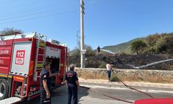 Bodrum'da otluk alanda çıkan yangın söndürüldü