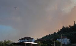 İzmir Valisi Elban'dan orman yangınına ilişkin açıklama