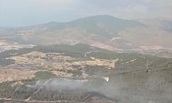 İzmir'in Aliağa ilçesinde ormanlık alanda çıkan yangına müdahale ediliyor