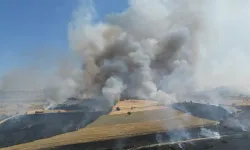 Manisa'nın Kula ilçesindeki orman yangını kontrol altına alındı