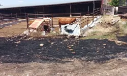 Ulubey’de Ot Yangını Ahıra Sıçradı