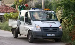 Uşak’ta Sinek ve Sivrisinek Şikayetleri Arttı, Gözler Belediyeye Çevrildi