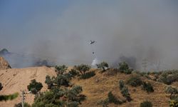 Aydın'da ağaçlık alanda çıkan yangın kontrol altına alındı