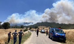 Gedizde ormanlık alanda çıkan yangına müdahale ediliyor