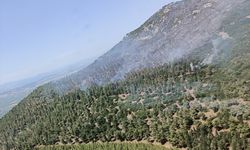 Manisa'nın Saruhanlı ilçesinde çıkan orman yangınına müdahale ediliyor