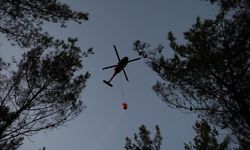 Fethiye'de ormanlık alanda çıkan yangın söndürüldü