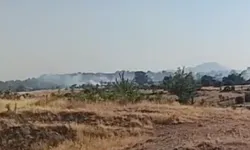 Ulubey Çardakçı Köyünde Orman Yangını
