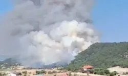 Uşak-Gediz Yolu Derbent'te Orman Yangını