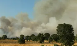 Derbent'teki Yangına Sebebiyet Veren 2 Kişi Gözaltına Alındı