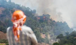 Uşak Valiliği’nden Ormanları Korumak İçin Yeni Yasaklar