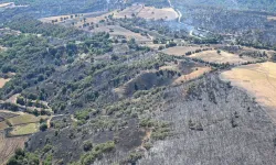 Manisa'da 80 orman yangınında 61'i büyümeden söndürüldü