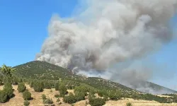 Uşak’ın İki İlçesinde Orman Yangını! Müdahale Sürüyor