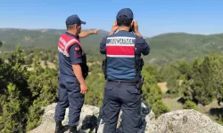 Aydın'da otluk ve zeytinlik alanda yangına neden oldukları iddiasıyla 2 şüpheli yakalandı