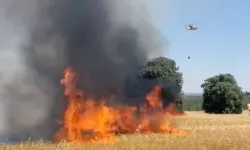 Kızılcasöğüt'te Ekin Tarlasında Yangın Çıktı..!