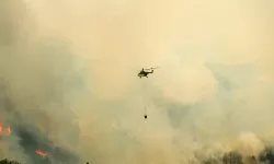 İzmir'de ormanlık alana sıçrayan yangına müdahale ediliyor