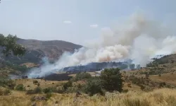 Afyonkarahisar'da çıkan örtü yangınına müdahale ediliyor