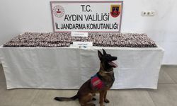 Aydın'da uyuşturucuyla yakalanan 3 şüpheli tutuklandı