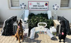 İzmir'de uyuşturucu ticareti yaptığı öne sürülen şüpheli yakalandı