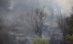 Manisa'da tarım arazisinden makilik alana sıçrayan yangın kontrol altına alındı