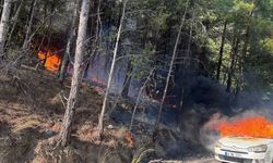Muğla'da otomobilde çıkan ve ormana sıçrayan yangın söndürüldü