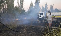 Ödemiş'te otluk alanda çıkan yangın söndürüldü