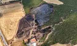Banazda anızdan başlayıp ormanlık alana sıçrayan yangın söndürüldü