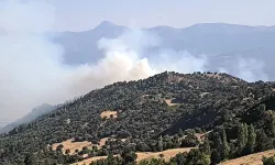 Denizli'de ormanlık alanda çıkan yangına müdahale ediliyor