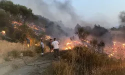 Aydın'da otoyoldaki kamyonda çıkıp ağaçlık alana sıçrayan yangın söndürüldü