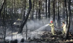Muğla'da çıkan orman yangını kontrol altına alındı