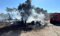 Muğla'da ahırda çıkan yangında 14 küçükbaş hayvan telef oldu