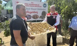 Tire'de incir üreticilerine kerevet dağıtıldı
