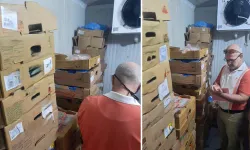 Uşak’ta 1 Ton Son Tüketim Tarihi Geçmiş Tavuk Ele Geçirildi