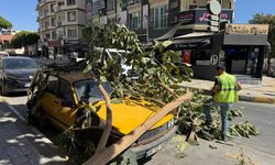 Aydın'da ağaç dalının otomobilin üzerine düşmesi güvenlik kamerasında