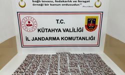 Kütahya'da uyuşturucu operasyonunda yakalanan 2 zanlı tutuklandı